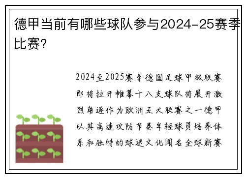 德甲当前有哪些球队参与2024-25赛季比赛？